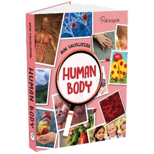 Human Body