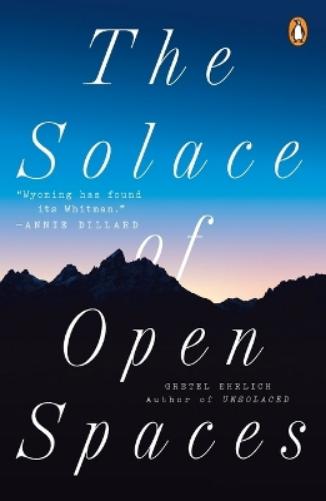 Solace of Open Spaces