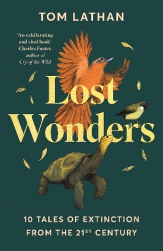 Lost Wonders