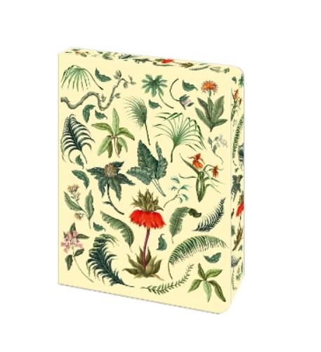 The Fern Journal