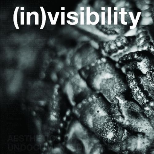 In)visibility