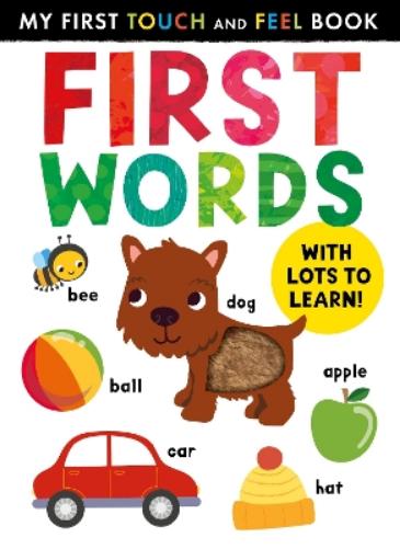 My First Touch and Feel: First Words