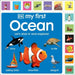 My First Ocean: Let’s Dive In and Explore!