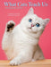 What Cats Teach Us 2027 Engagement