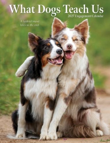 What Dogs Teach Us 2027 Engagement