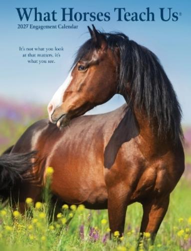 What Horses Teach Us 2027 Engagement