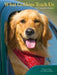 What Goldens Teach Us 2027 Engagement