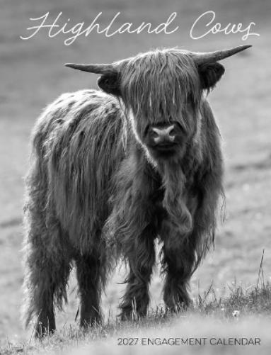 Highland Cows 2027 Engagement