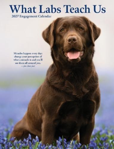 What Labs Teach Us 2027 Engagement