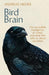 Bird Brain