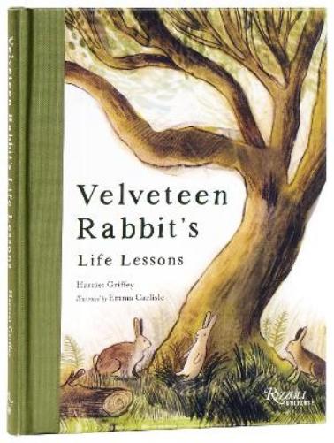 Velveteen Rabbit's Life Lessons