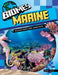 Marine Ecosystems and Habitats