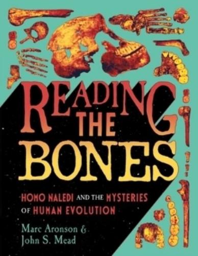 Reading the Bones