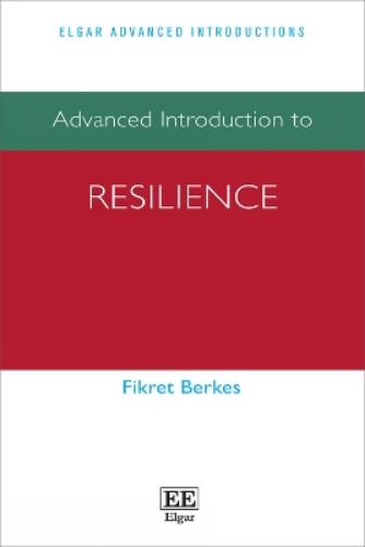 Advanced Introduction to Resilience