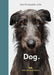 New Photography of the Dog
