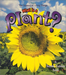 What Is A Plant?