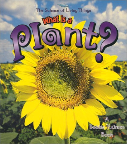 What Is A Plant?