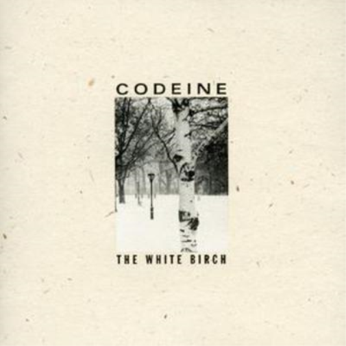 The White Birch