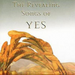 Tribute to Yes - Revealing Songs of Yes