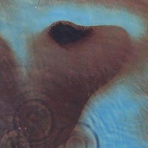 Meddle