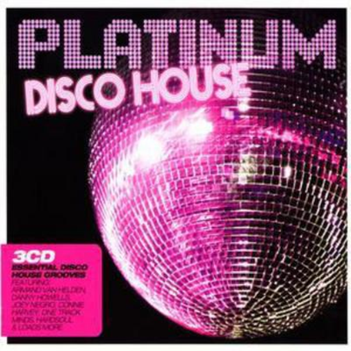 Platinum Disco House