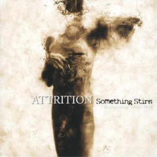 Something Stirs - The Beginning 1981 - 83