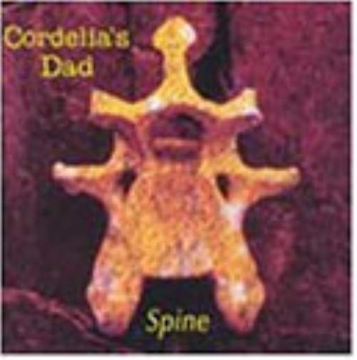 Spine