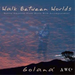 Walk Between Worlds