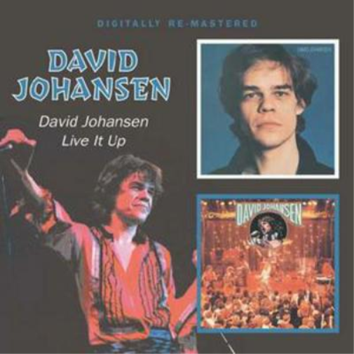 David Johansen - Live It Up