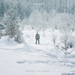 Winter & the Wolves