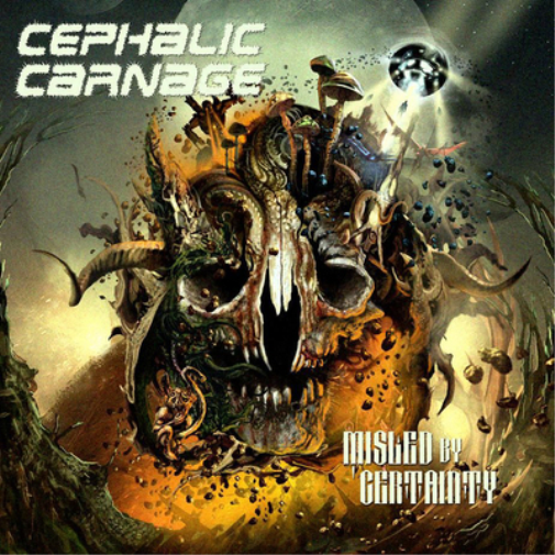 Misled By Certainty