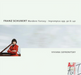 Franz Schubert: Wanderer Fantasy/...