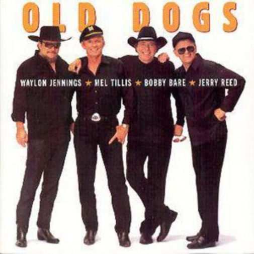 Old Dogs