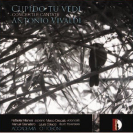 Cupido Tu Vedi: Concerti E Cantate