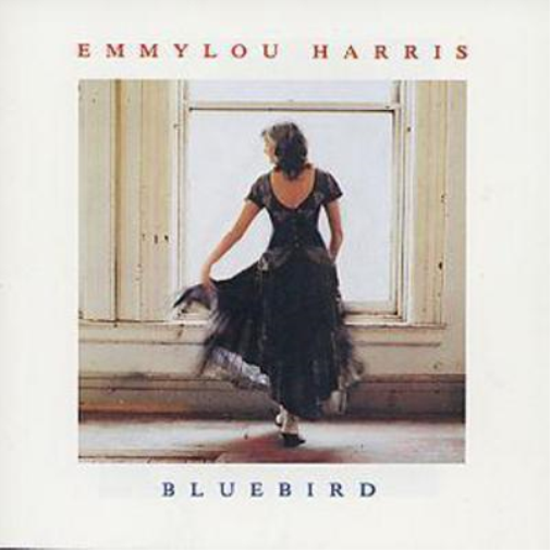 Bluebird