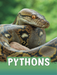 Pythons
