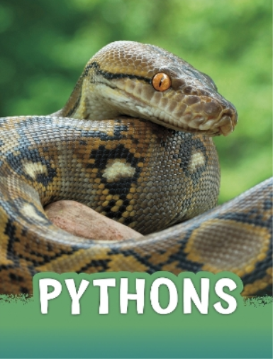 Pythons