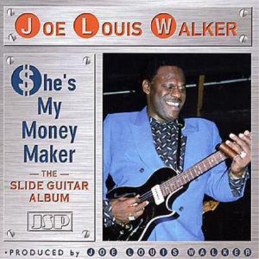 She's My Money Maker: The Slide Guitar Album