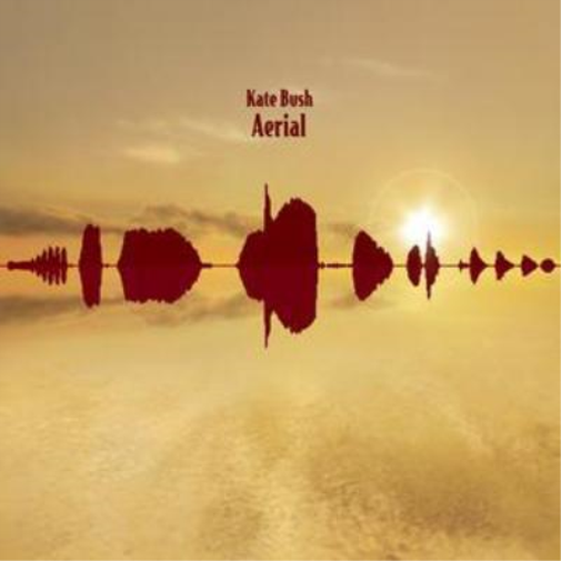 Aerial