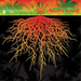 Best of Deep Root