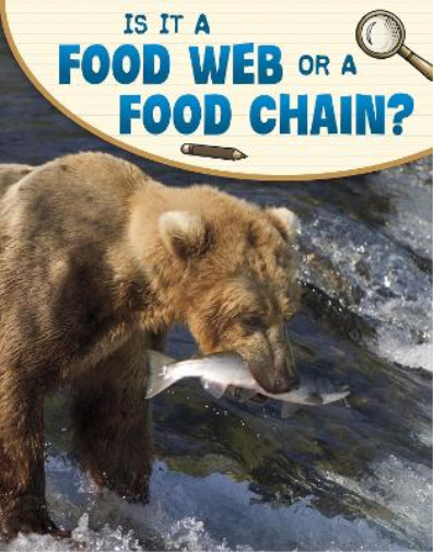 Is It a Food Web or a Food Chain? – Rarewaves.com