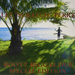 Rootz Reggae Dub