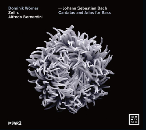 Johann Sebastian Bach: Cantatas and Arias for Bass