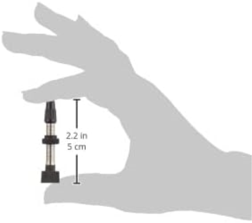 Campagnolo 2-Way Fit Tubeless Valve Pr