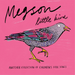 Little Bird: Another Collection of Children's Folk Songs