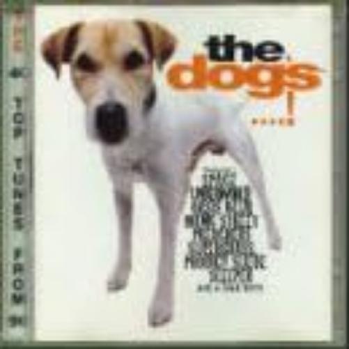 Dogs