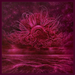 Garden of Storms