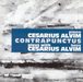 Contrapunctus