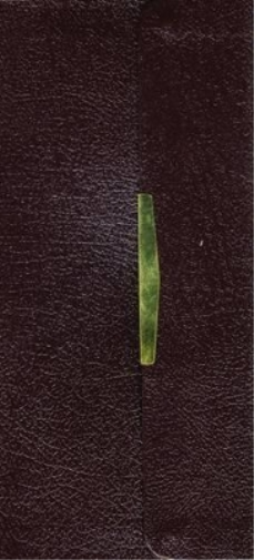 KJV Compact Checkbook Bible, Burgundy Bonded Leather, Red Letter: King James Version, Holy Bible