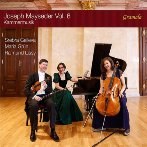 Joseph Mayseder: Kammermusik - Volume 6